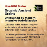 Papa Vince Organic Whole Wheat Non Enriched Rigatoni: Low Gluten Italian Pasta made in Italy from Organic Non GMO Khorasan Ancient Grain grown in