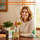 Soilmount - Lysimachia Tea - |Gold Coin Grass|Kidney Health|jinqiancao|???/???| - Pure Herbal Tea - Natural, Organic, Non-GMO, Clean Ingredients
