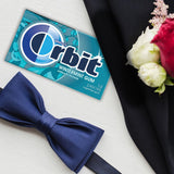 ORBIT Wintermint Sugar Free Individually Wrapped Chewing Gum Mint Bulk Box , 12 Packs of 14-Pieces (168 Total Pieces)