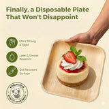 Palm Leaf Plates 4 Inch Bamboo Plate Disposable 100 Pack Small Dessert and Appetizer Square Party Plates Biodegradable Compostable Cocktail Better