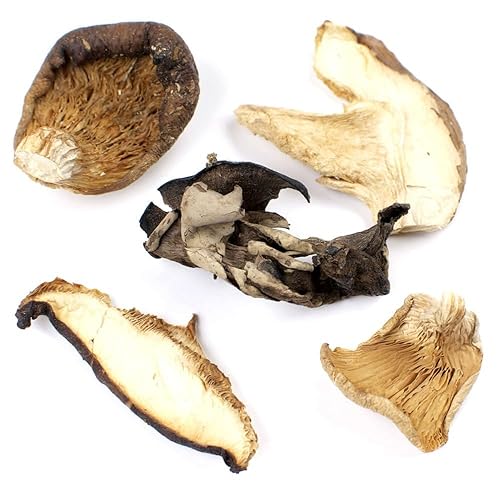 Essential Spice Dried Forest Blend Mushrooms - Gourmet Mix of Wild Mushrooms with Rich Earthy Umami Flavor - Ideal for Sauces, Soups, Risottos