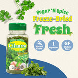 Sugar 'N Spice Premium Freeze-Dried Herbs & Spices, Strong Aroma and Fresh Flavor (Cilantro, 0.23 Ounce (Pack of 1))