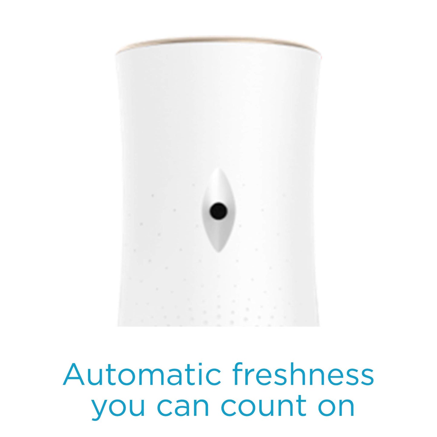 Automatic Spray Refill, Air Freshener, Cashmere Woods, 6.2 Ounce (3 Pack)