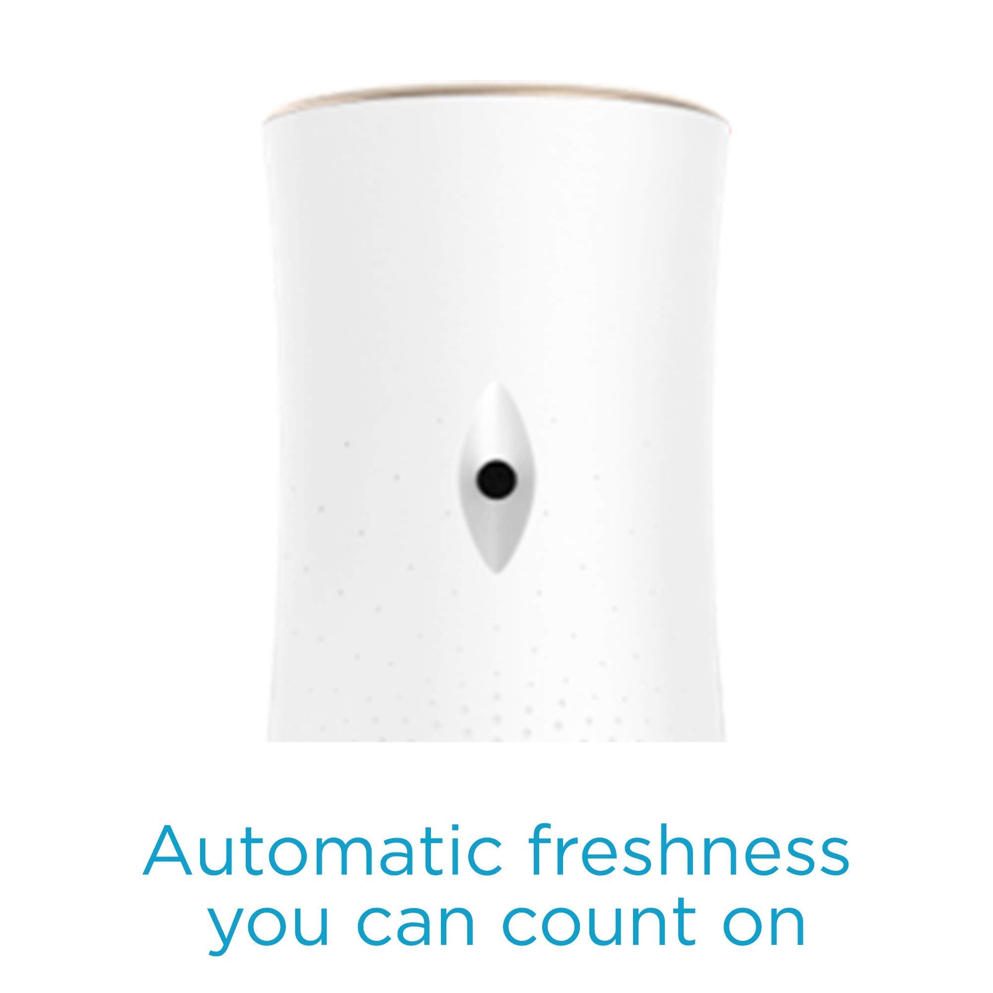Automatic Spray Refill, Air Freshener, Cashmere Woods, 6.2 Ounce (3 Pack)