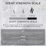ENVIRONMENT Inspired by Designer Perfume DYPT Surface Cleaner, 16oz Luxury Surface Cleaner (Baies | Currants | Quince) Home Essentials, Scented