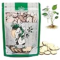 Hapsmiley Alisma Rhizoma Root (Alisma/??/Ze Xie) Dried Bulk Herbs - 3.5 oz (100g)