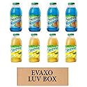 LUV BOX- variety Everfresh Juice 16 oz. pack of 8 , Everfresh Island Punch , Everfresh Pineapple Juice. by evaxo