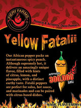 Orange Fatalii Pepper Powder by Magic Plant, 1 Kg Bulk - 350K+ SHU | Citrusy Fruity Superhot Heat | Fine Ground African Chili for Bold Flavor