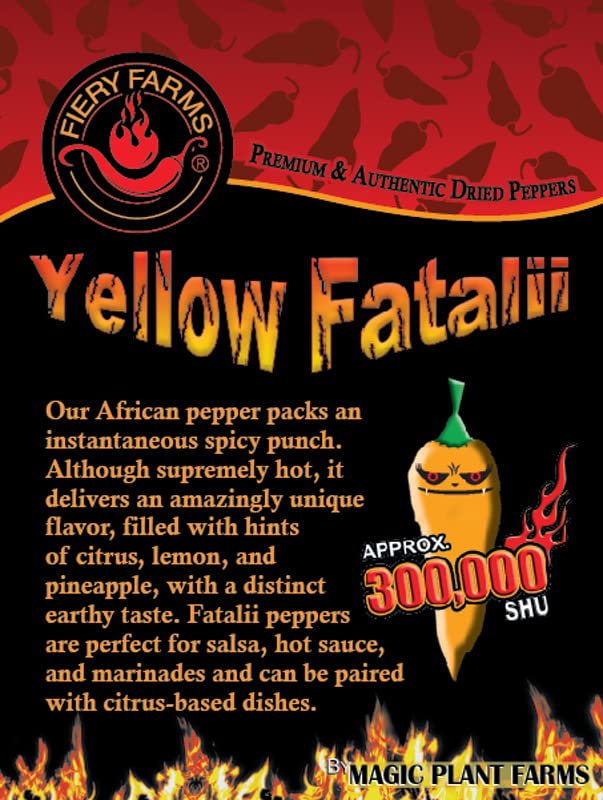 Orange Fatalii Pepper Powder by Magic Plant, 1 Kg Bulk - 350K+ SHU | Citrusy Fruity Superhot Heat | Fine Ground African Chili for Bold Flavor