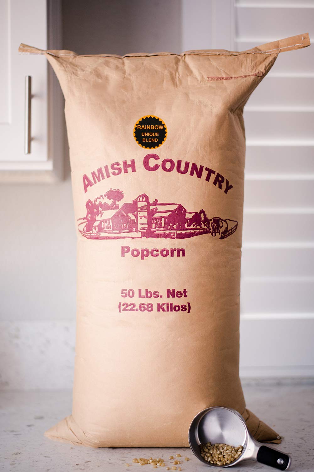 Amish Country Popcorn | 50 lb Bag | Rainbow Popcorn Kernels | Old Fashioned, Non-GMO and Gluten Free (Rainbow - 50 lb Bag)