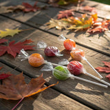 DUM DUMS Lollipops 1 lb - Suckers Hard Candy, Gluten Free, Individually Wrapped Pops (62 Pieces)