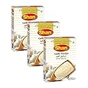 Shan Garlic Powder 3.52 oz (100g) - No Preservative and Artificial Food Colour - Authentic and Pure Spices - Halal and Suitable for Vegetarians