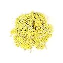 Helichrysum Flowers Organic - 1oz Flores De Helicriso 1oz
