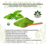 Buddha Teas - Organic Matcha Green Tea - For Health & Wellbeing - Organic Tea - With Antioxidants & Minerals - Clean Ingredients - Caffeinated - OU