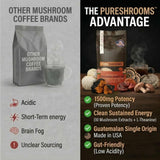 Mushroom Ground Coffee w/ 10 Organic Mushroom Extracts - King Trumpet, Agaricus Blazei, Willow Bracket, Lion's Mane, Chaga, Reishi, Cordyceps, Turkey