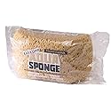 Aqua Professional Poly Sponge, 7-3/8 by 4 by 2-1/2-Inch, Turtleback