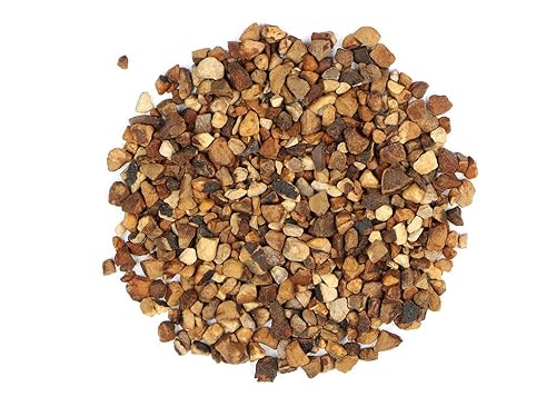 Kola Nut Organic - 1oz