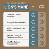 Two River Lion's Mane Mushroom Broth made with organic Lion's Mane and Shiitake Mushrooms, vegan plus adaptogens, perfect for sipping and souping