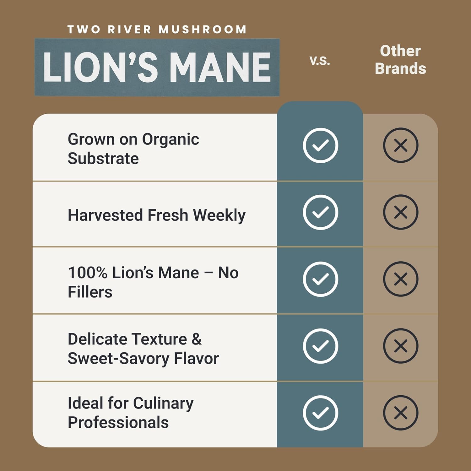 Two River Lion's Mane Mushroom Broth made with organic Lion's Mane and Shiitake Mushrooms, vegan plus adaptogens, perfect for sipping and souping