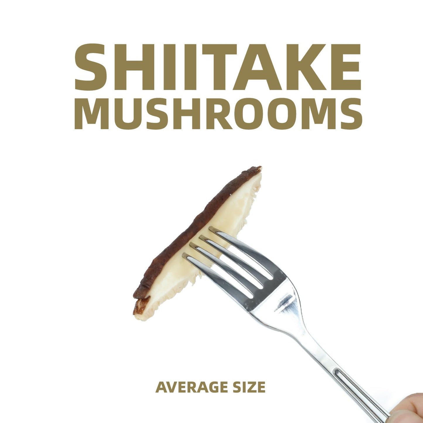 Premium Dried Shiitake Mushrooms, Rich Umami Flavor, Gluten-Free Vegan Snack- Perfect for Soups, Stir-Fry & Health Cooking,8oz