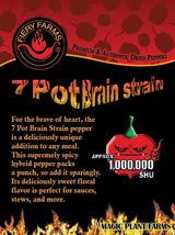 Red 7 Pot Brain Strain Pepper Powder by Magic Plant, 1 Kg Bulk - 1M-1.9M SHU | Intense Fruity Sweet Superhot Heat | Fine Ground Caribbean Chili