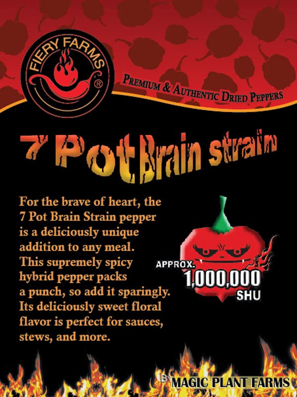 Red 7 Pot Brain Strain Pepper Flakes by Magic Plant, 1 Kg Bulk - 1M-1.9M SHU | Intense Fruity Sweet Superhot Heat | Pure Crushed Caribbean Chili