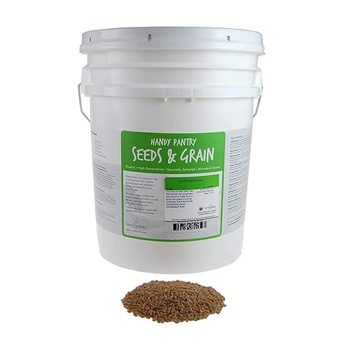 Organic Hard Red Wheat Seed: 35 Lb - Handy Pantry Brand - Grow Wheatgrass, Flour, Grain & Bread, Emergency Food Storage, Ornamental Wheat Grass