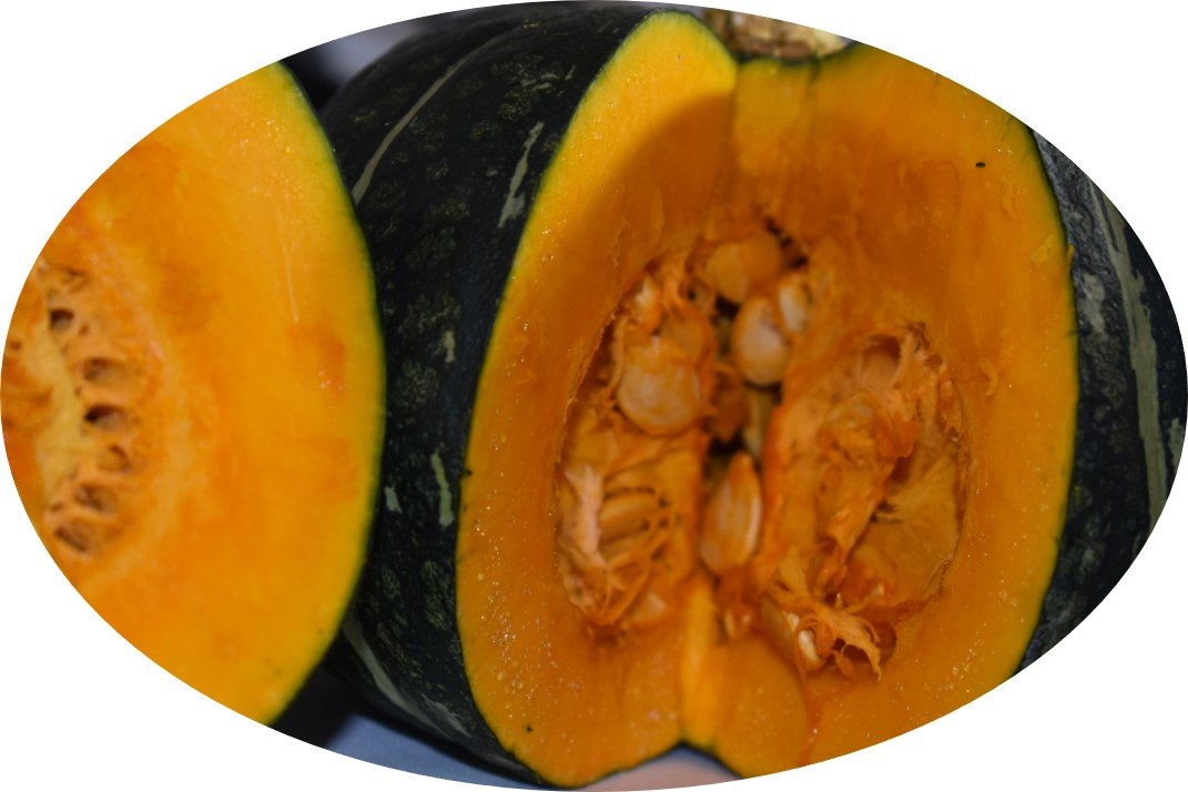 Calabaza SQUASH Powder- Kabocha, West Indian pumpkin- Vegetable soup powder- Great for Making soup, Baking, 100% vegetable. Raw. No salt added. Gluten