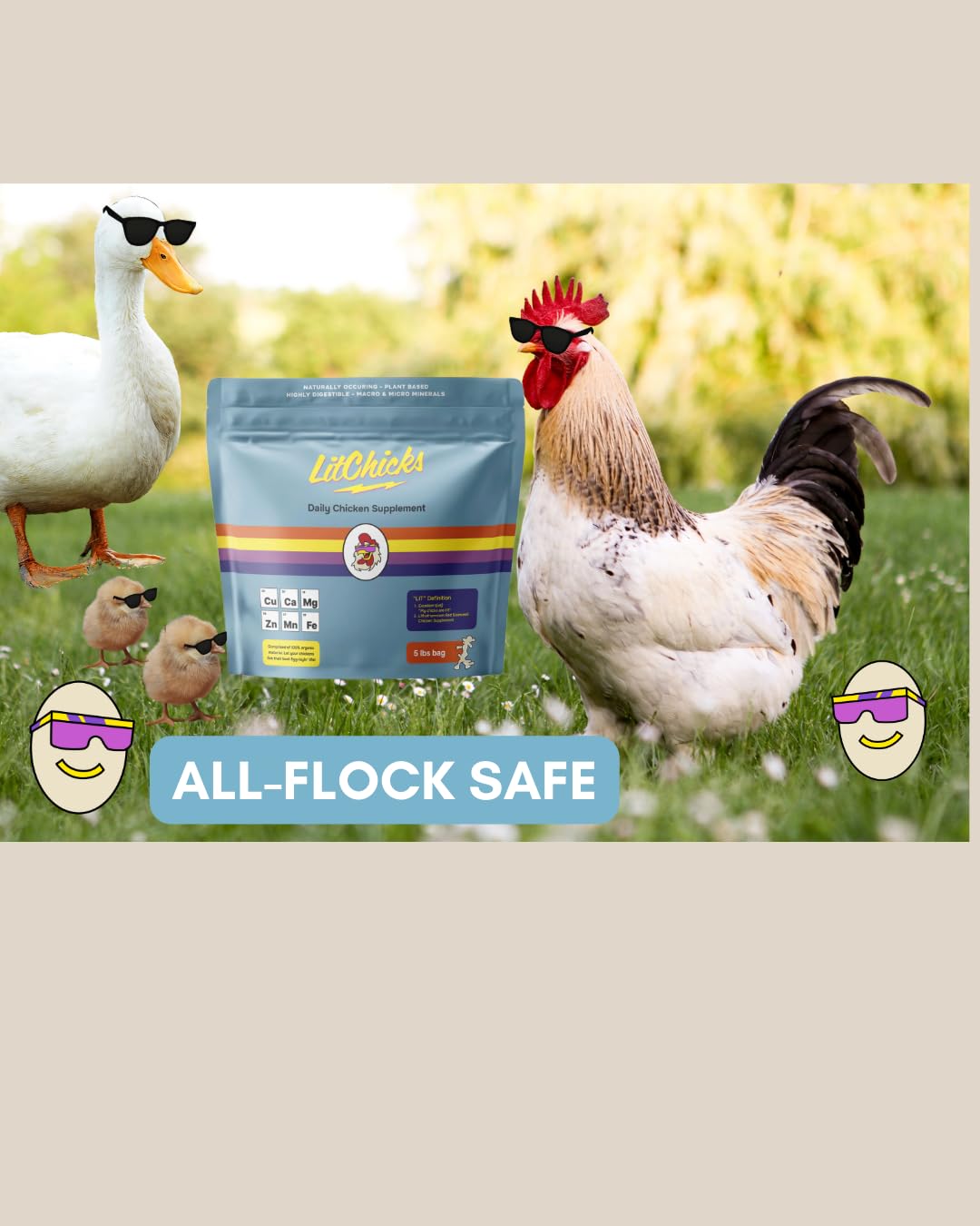 LitChicks’ Calcified Seaweed for Laying Chickens - Crushed Oyster Shell Alternative - Highly Digestible - Single Ingredient - Helps with Egg Laying