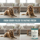 GLAT Group Enzyme-Powered Carpet Deodorizer (Powder) - Sandalwood | Natural Pet Odor Eliminator | Bio-Enzymatic Formula, Premium Performance, Eco