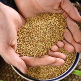 Zercumm Trigonella Foenum-Graecum Luba Seed Fenugreek Seed Clean without Impurities