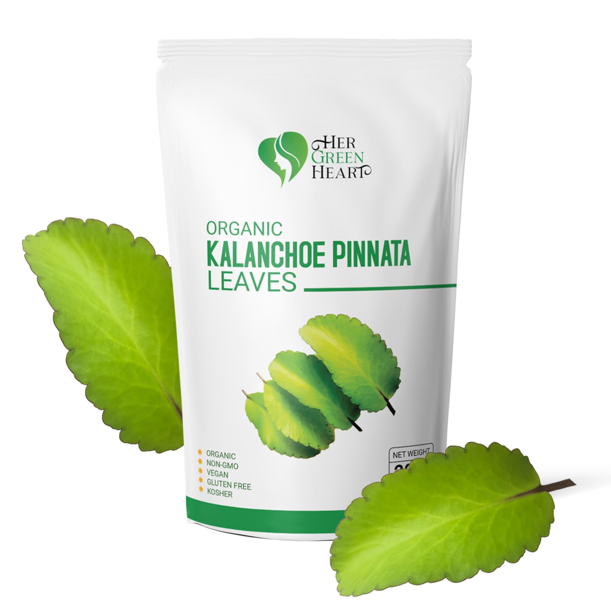 Kalanchoe Pinnata Leaves Herbal tea - 100% Pure, Dried Leaves for Culinary, Tea, and Herbal Uses