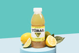 VIBAL ENERGY TEA, Lemonade, 16 Fl Oz, 6-Pack, Natural Energy, High Caffeine, Ginseng, Theanine, Low Sugar, Low Carb, Low Calorie, Adaptogens
