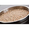 InHarvest Short-Grain Brown Rice, 25 Pound