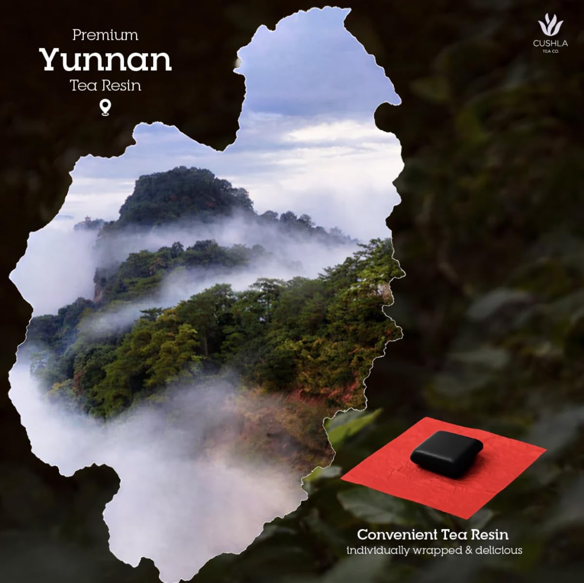 Pu-erh Shu Tea Resin with Rose - Ripe Puer Fermented Dark Tea from Yunnan | Pu’er Tea Concentrate | 30 Individually Wrapped Pieces