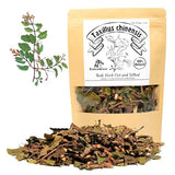 EidolonGreen [China Medicinal Herb] Dried Chinese Mistletoe (Taxillus chinensis/Sang ji sheng/???) Stems and Leaves 3 Oz (88g)