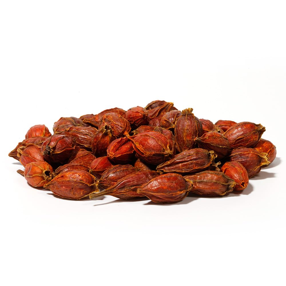 Hapsmiley Gardenia Fruit (Gardenia Fruit/Gardeniae Fructus/Zhi Zi Guo/???) Dried Bulk Herbs - 3.5 oz (100g)