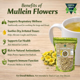Green Royalty Gordolobo Mullein Loose Tea 4oz (114g) - Natural Infusion Herb - Gnaphalium spp. - Caffeine-Free Herbal Tea - Made in Mexico