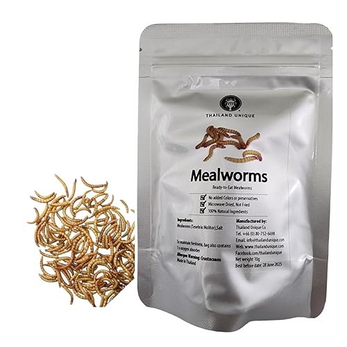 Thailand Unique Mealworms - 10 Gram Bag of Dehydrated Edible Insects for Humans, Nutritious Bugs Superfood Weird Unusual Snack Gift