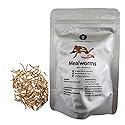 Thailand Unique Mealworms - 10 Gram Bag of Dehydrated Edible Insects for Humans, Nutritious Bugs Superfood Weird Unusual Snack Gift