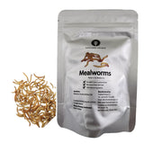 Thailand Unique Mealworms - 10 Gram Bag of Dehydrated Edible Insects for Humans, Nutritious Bugs Superfood Weird Unusual Snack Gift