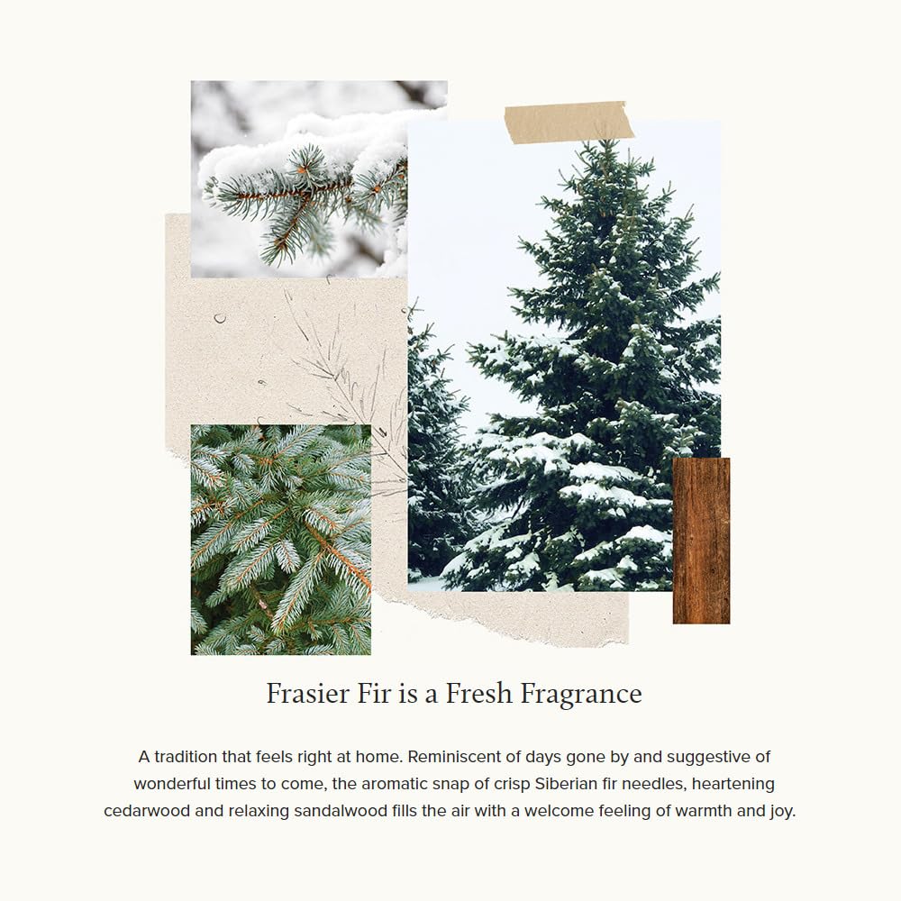 Thymes Soft Surface Scrub - Frasier Fir - Multipurpose Surface Cleaner - - Pine Scented Stain Remover with Baking Soda, Fennel & Parsley Extracts