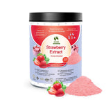 Bionutricia Strawberry Extract Powder 20:1 - No Sugar Added, Rich in Vitamin C & Antioxidants, Great for Smoothies, Baking & Drinks, Vegan, Non-GMO