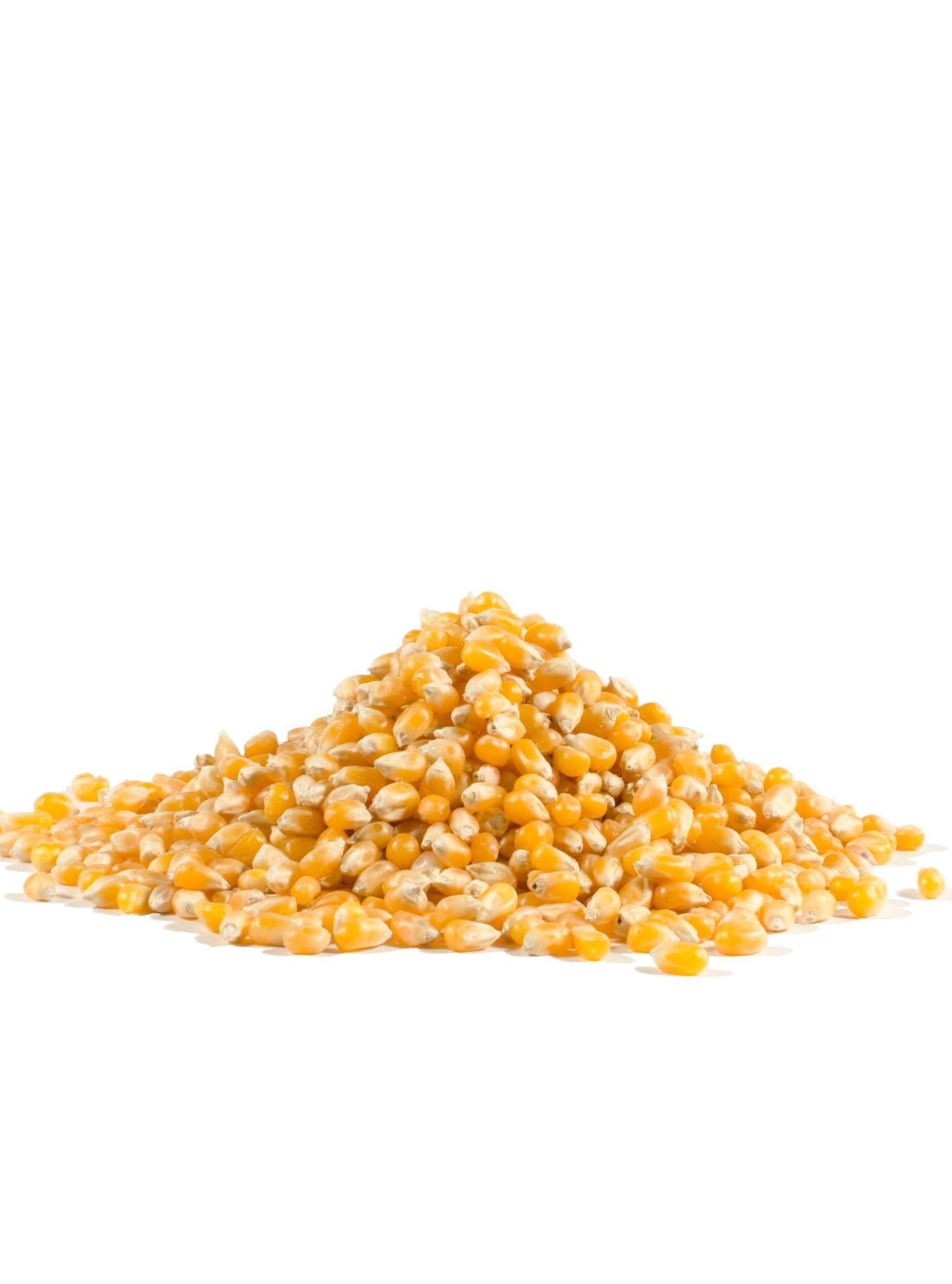 Bob's Red Mill Yellow Popcorn, 30oz (Pack of 1) - Non GMO, Whole Grain, Vegan, Kosher