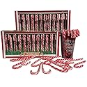 Individually Wrapped Peppermint Candy Canes - Old Time Candy (48 Individually Wrapped Peppermint Candy Canes (2 Boxes))