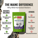Ocean’s Balance Clean - Wild?Harvested Maine Irish Sea Moss (Chondrus crispus) Powder | Vegan • Lab?Tested Purity • 90+ Mineral Rich • Skin, Thyroid