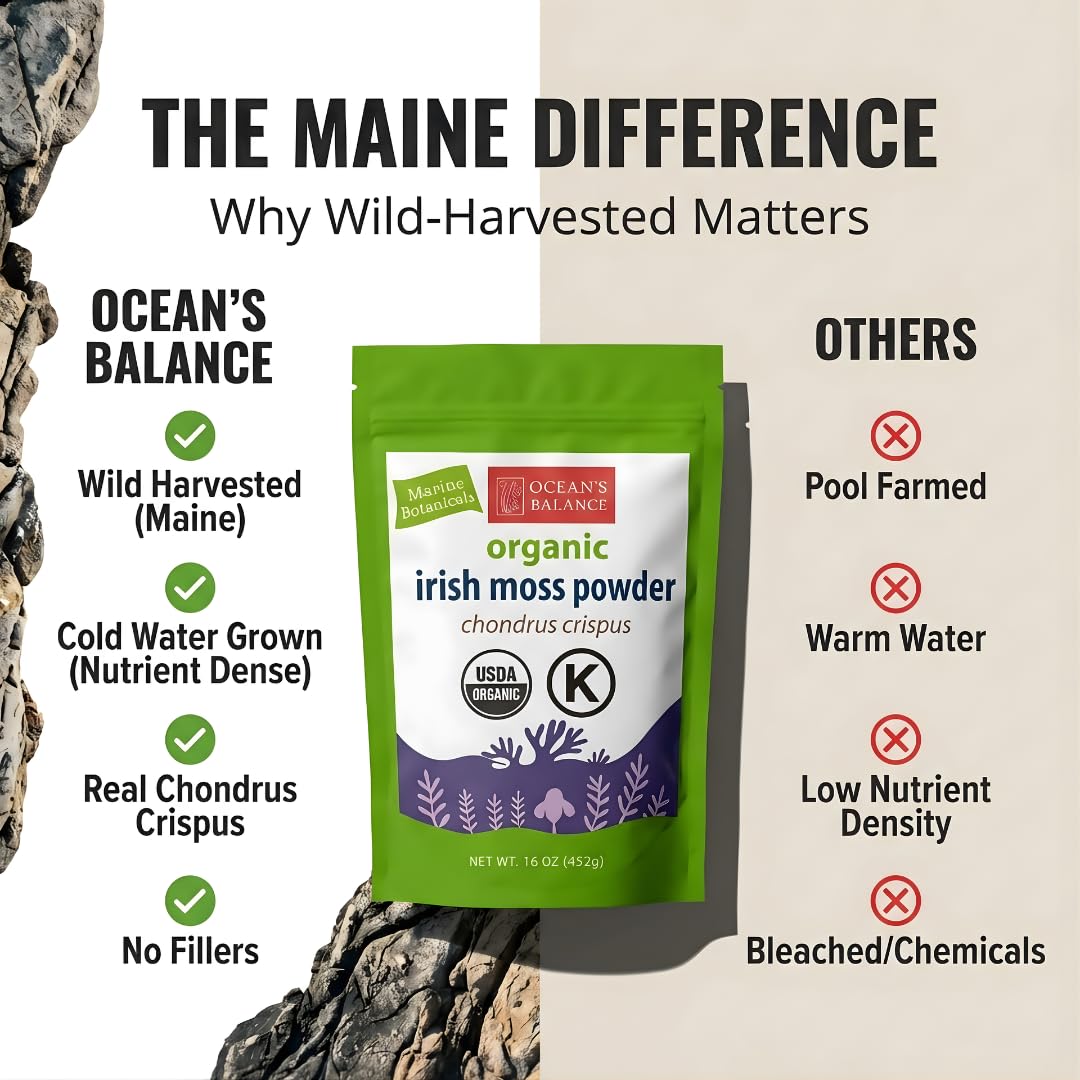 Ocean’s Balance Clean - Wild?Harvested Maine Irish Sea Moss (Chondrus crispus) Powder | Vegan • Lab?Tested Purity • 90+ Mineral Rich • Skin, Thyroid