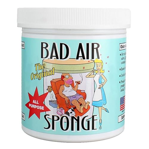 The Original Bad Air Sponge with Activated Charcoal- All Purpose Odor Neutralizer & Eliminator, 14oz (Pack of 12)