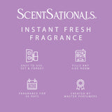 Scentsationals Plug in Air Freshener Starter Set - Swivel Plug Fragrance Oil Diffusers & 2 Long Lasting Scent Refills - Lilac Blossoms Scent