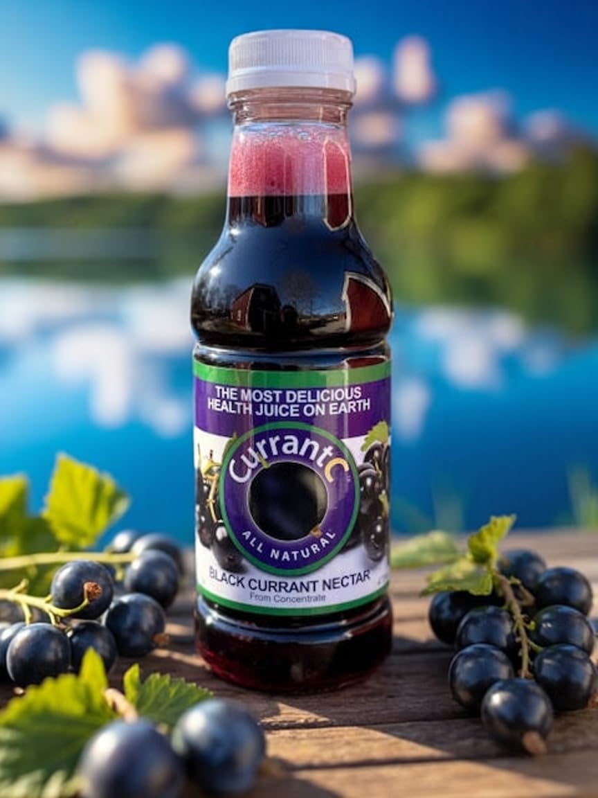 100% All Natural Black Currant Nectar 16 oz. - 12 pack